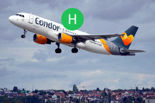 condor