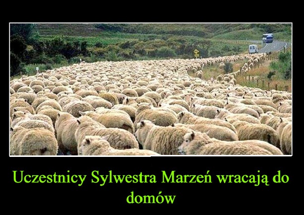 F.G.Ż.J.W.