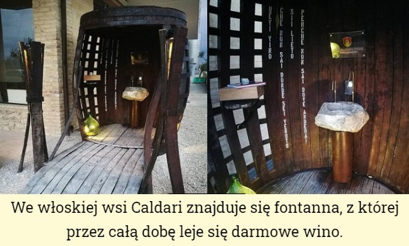 wino